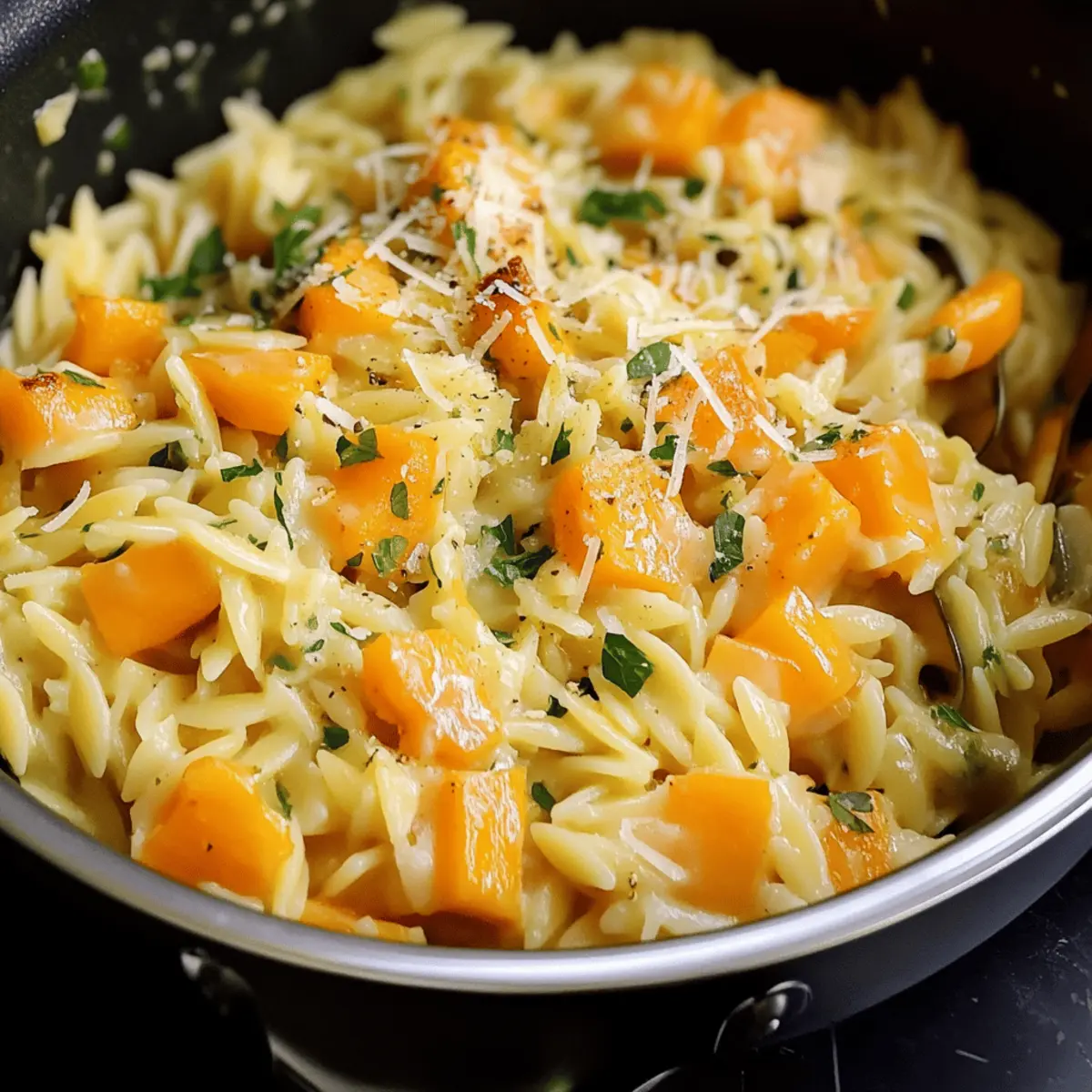 Creamy Cheesy Butternut Squash Orzo for Cozy Nights